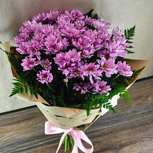 Букет цветов из:  Хризантемы #REPLACE_PRED# Лухе