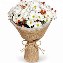 Букет цветов из:  Хризантемы #REPLACE_PRED# Лухе