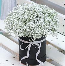 Цветочная композиция из Гипсофила в шляпной коробке #REPLACE_PRED# Лухе